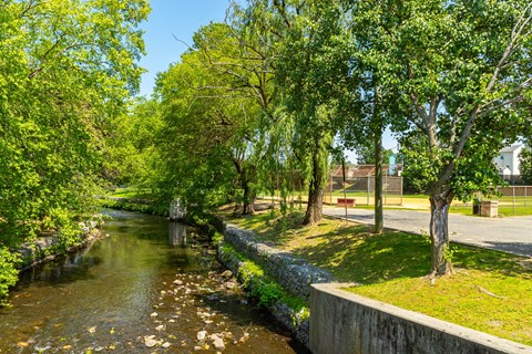 A river flows through a green park with trees on both sides.