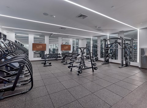 A gym with a variety of equipment including treadmills, weights, and exercise machines.