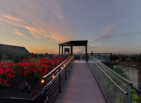 a roof top terrace with flowers and a wooden deck and a sunset