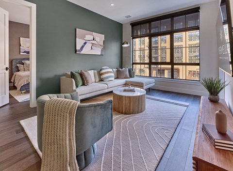 oversized windows, spacious homes, open layout, hardwood flooring, large studio, one, and two bedroom homes, washer dryer in unit