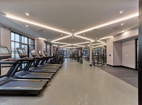 the gym has cardio equipment and treadmills on the floor