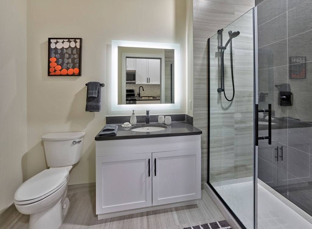 large bathroom, glass shower doors, backlit vanity