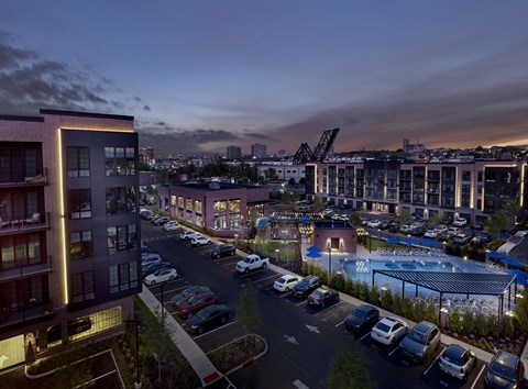 luxury apartments, resort style pool, pet friendly