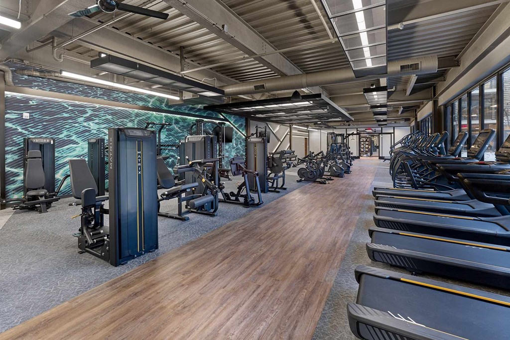 A gym with treadmills, elliptical machines, and other exercise equipment.