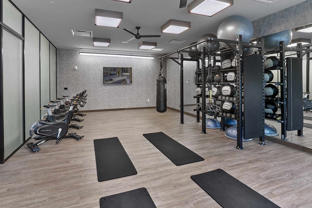 A gym with a variety of equipment including treadmills, weights, and a punching bag.