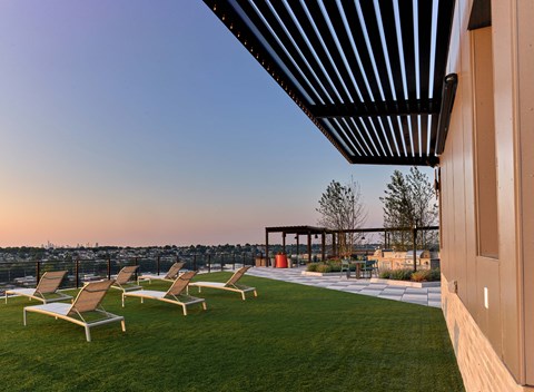 A row of sun loungers are on a lawn.