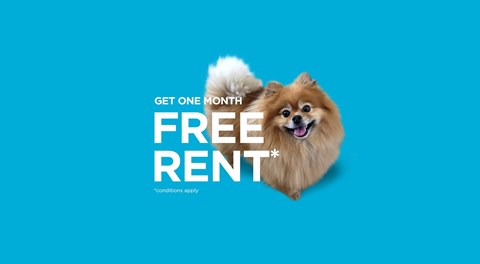A promotional slide advertising one month free rent