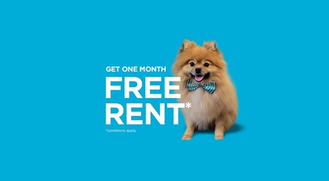A promotional photo advertising one month free rent