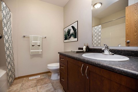 A bathroom with a toilet, sink, and a mirror.
