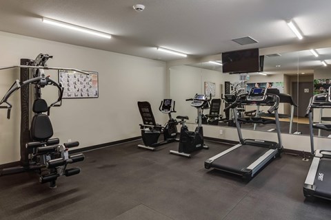 A spacious gym with a variety of equipment including treadmills, stationary bikes, and weight machines.
