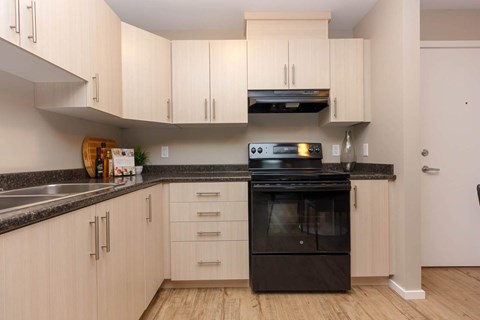 A black oven is in a kitchen with wooden cabinets.