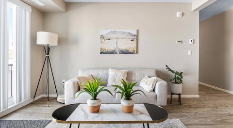 A large living room with couch,lamp,coffee table. lots of natural light and glass sliding door