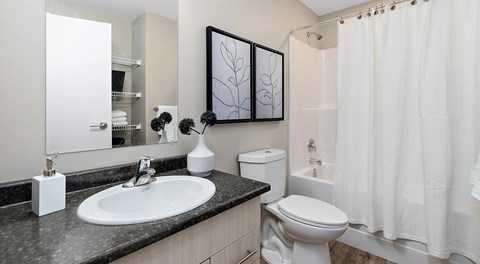 A bathroom with a sink, toilet, and shower.