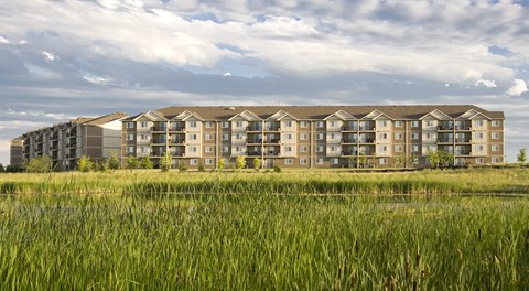 A large apartment complex, next to a grassy field