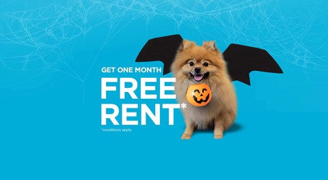 A dog with bat wings is advertising a free rent offer.