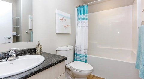 A bathroom with a white toilet, a sink, and a shower.