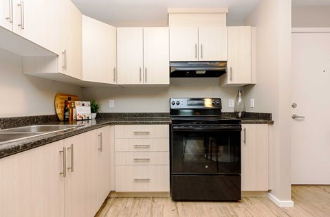 A black oven is in a kitchen with white cabinets.