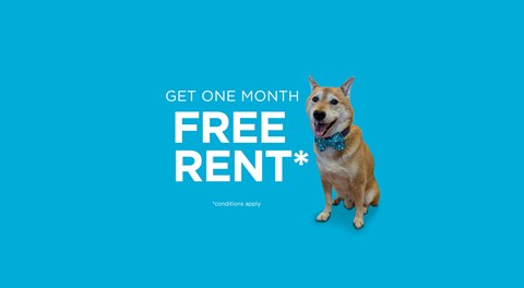 A promotional slide offering one month free rent