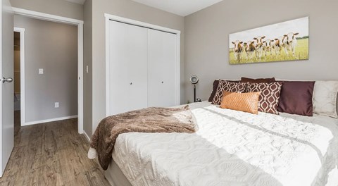 A bedroom with a queen sized bed and closet