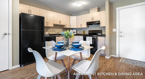 A apartment living room with light cabinets and black appliances