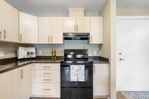A black stove top oven with a glass door sits in a kitchen with white cabinets.