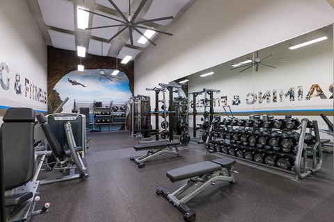 a gym with weights and cardio machines and a mural