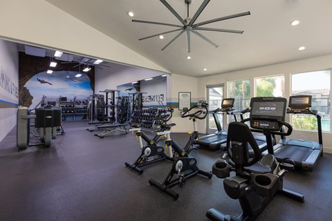 a gym with various exercise equipment and a large wall of windows