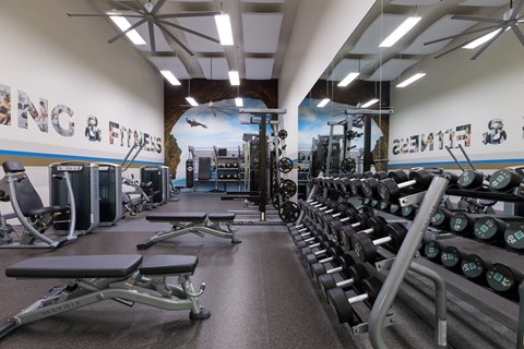 a gym with cardio machines and weights on the floor and a wall with a mural