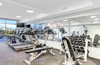 A gym with treadmills, weight machines, and dumbbells.