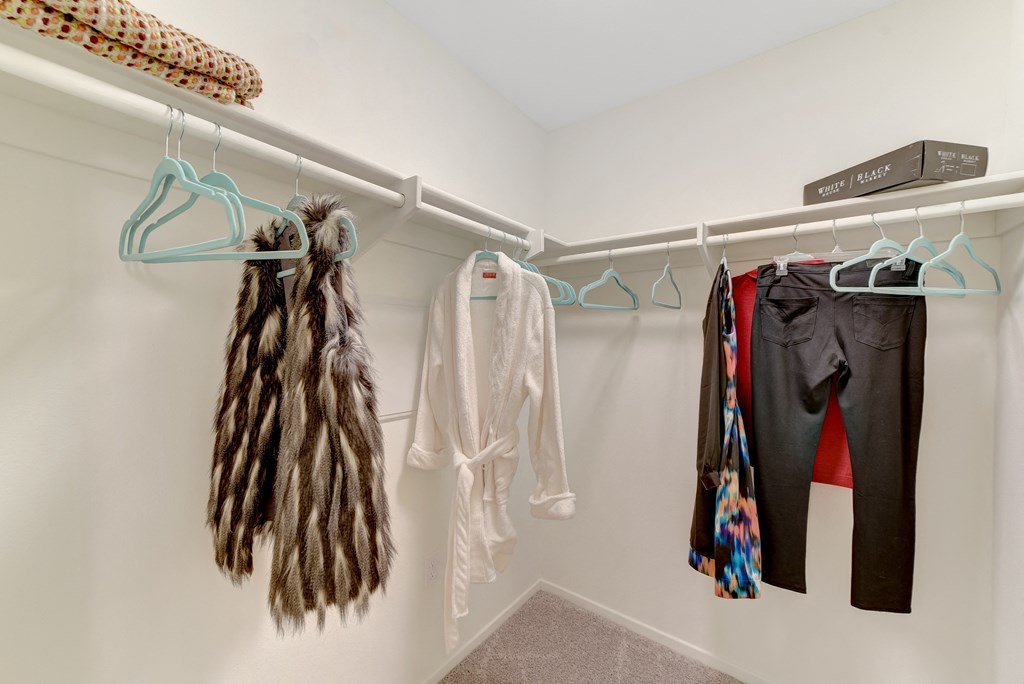 closet at Parc One, Santee, 92071