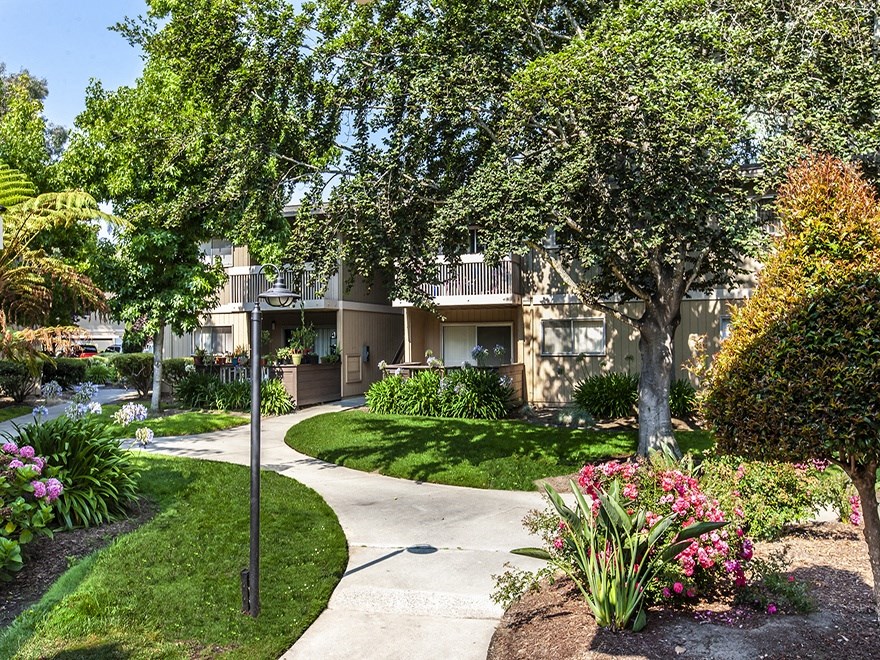 Grounds with lots of flowers, foliage, trees, lamp and sidewalk leading up to tan apartment building with patios/balconies.
