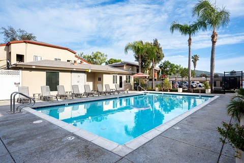 A swimming pool surrounded by palm trees and a building.