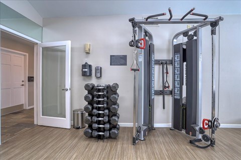 A gym with a weight stack, dumbbells and a squat rack.