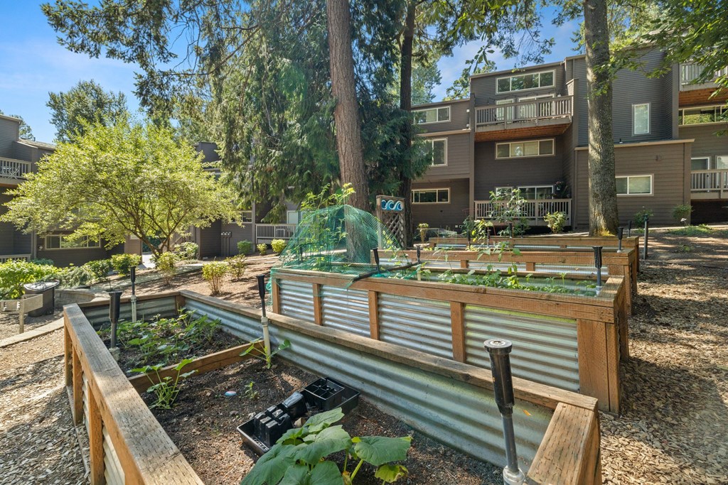 our apartments offer a community garden  at Larkspur West Linn, West Linn