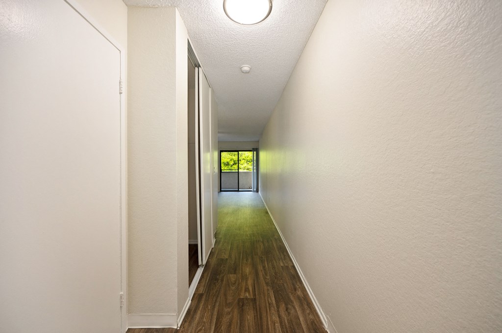 a studio apartment entryway with a closet