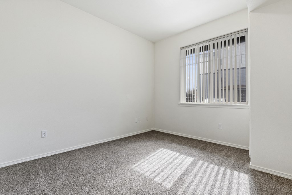 A room with a window and a carpet on the floor.