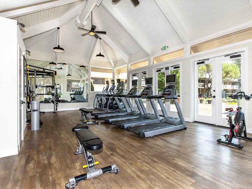 Gym with treadmills and ellipticals with screens weight bench, weight machine, rack and stationary bike
