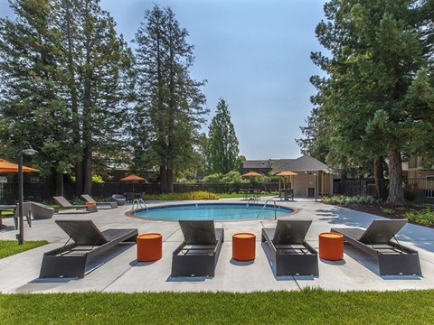 Santa Cruz CA Apartments for Rent - Cypress Point - Circular Pool with Gated Entry, Poolside Lounge Chairs, and Umbrellas, with Trees in the Background