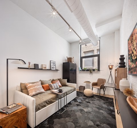 A modern living room with a grey sofa and a black and white rug.