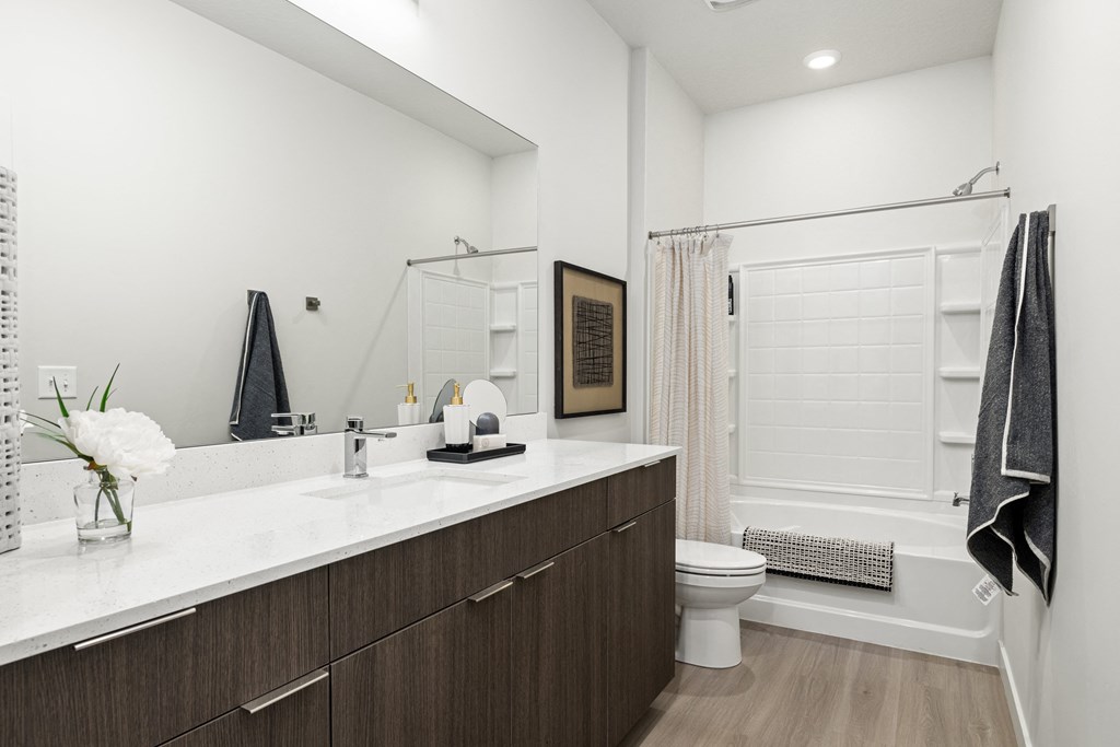 a bathroom with a sink and a toilet and a shower