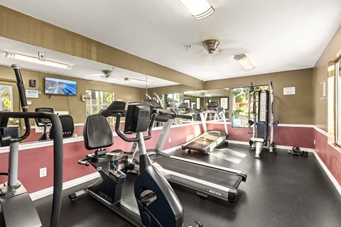 A gym with treadmills, elliptical machines, and other exercise equipment.