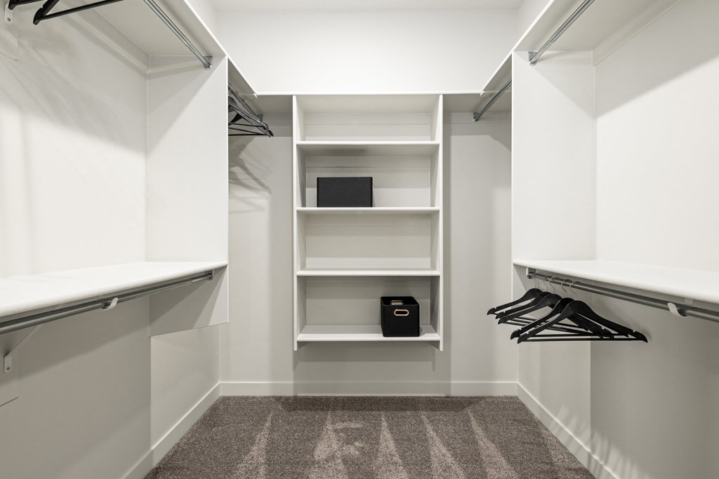 a walk in closet with white shelving and white walls and carpet