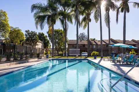 A swimming pool surrounded by palm trees and lounge chairs.