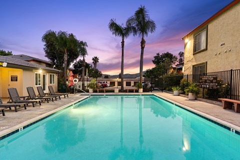 A swimming pool surrounded by palm trees and lounge chairs.