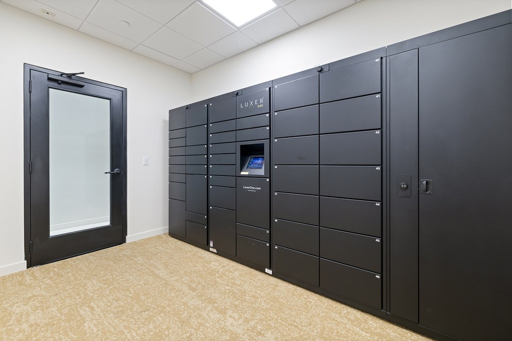 A room with black cupboards and a glass door.