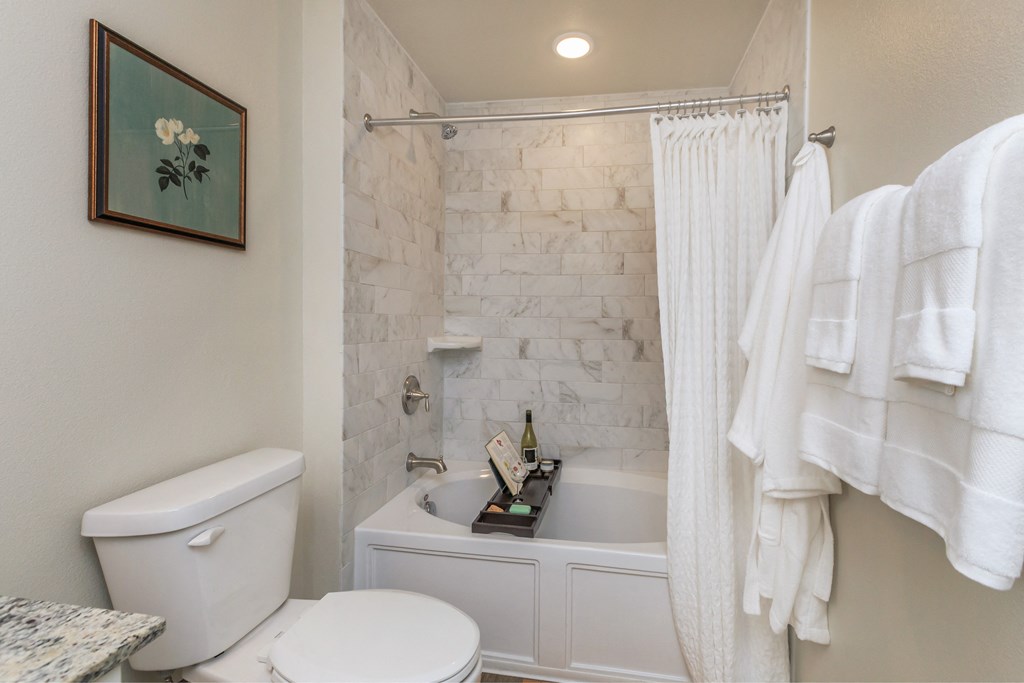 Spa inspired bath with soaking tub