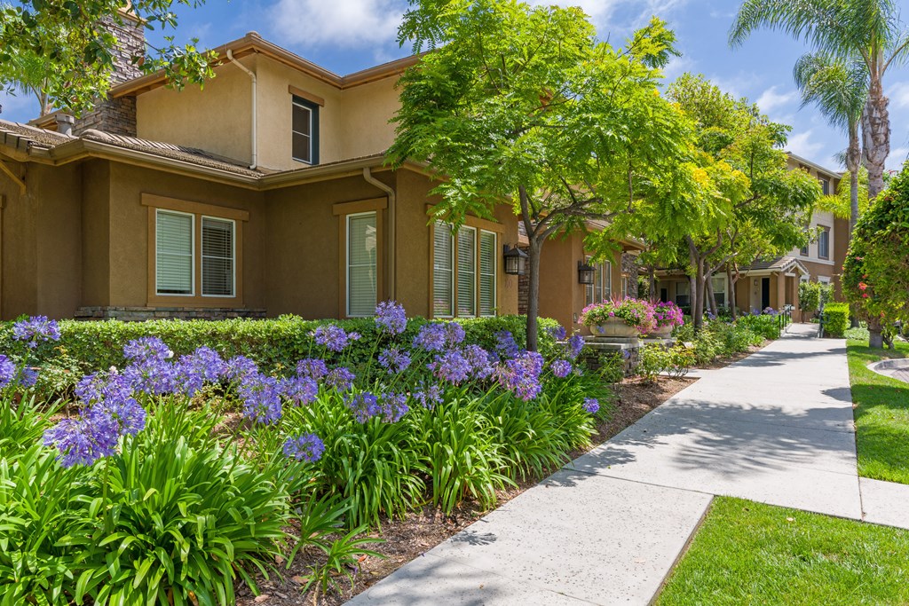 A row of houses with a sidewalk and greenery.