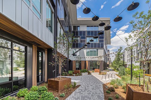 A modern building with a courtyard and a tree.