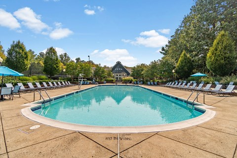 A large outdoor swimming pool surrounded by lounge chairs and trees.