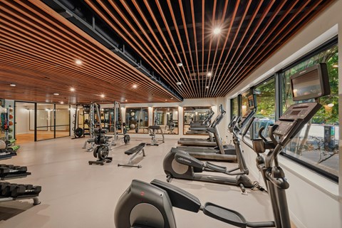 Bright gym interior showing treadmills and exercise machines lined up under warm overhead lighting.